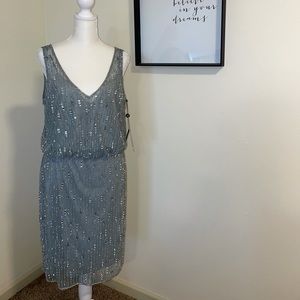 NWT Sz. 12 Adrianna Papell Beaded Dress